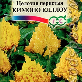 Целозия перистая Кимоно Еллоу, 10 шт. Элитная клумба