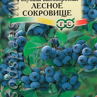 Голубика высокорослая Лесное сокровище, Смесь сортов, 30 шт.