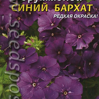 Флокс Друммонда Синий бархат, 0,1 г