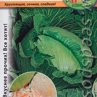 Капуста белокочанная Сахарная королева F1, 50 шт. Вкуснятина!