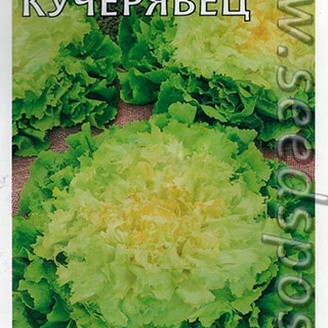 Эндивий Кучерявец, 0,1 г