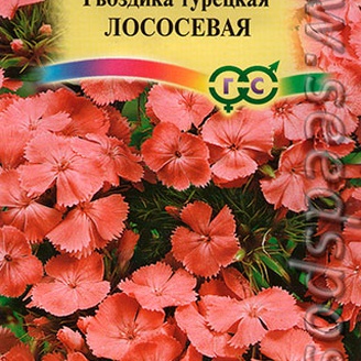 Гвоздика турецкая Лососевая, 0,2 г