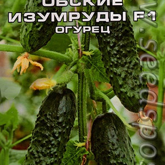 Огурец Обские изумруды F1, 7 шт.