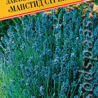 Лаванда Манстид Стрейн, 0,01 г