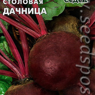 Свекла столовая Дачница, 3 г