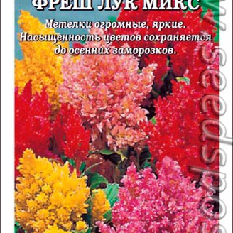 Целозия перистая Фреш Лук Микс, 10 шт.