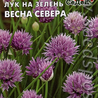 Лук шнитт Весна Севера, 0,5 г