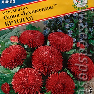 Маргаритка Белиссима Красная, 10 драже