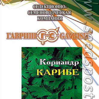 Кориандр Карибе, 25 г (Голландия) Профессиональная упаковка