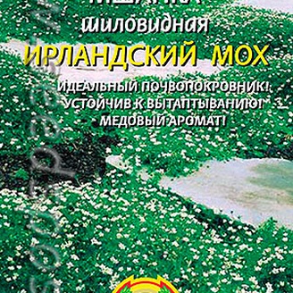 Мшанка шиловидная Ирландский мох, 0,01 г