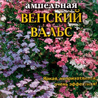 Лобелия ампельная Венский вальс, Смесь, 8 шт.