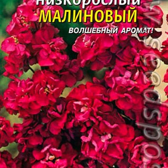 Левкой низкорослый Малиновый, 0,1 г