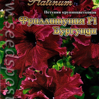 Петуния крупноцветковая Фриллитуния Бургунди F1, 12 шт. Platinum