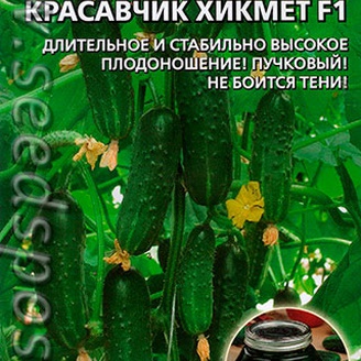 Огурец Балконный Красавчик Хикмета F1, 6 шт.