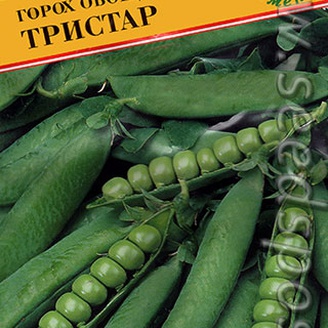 Горох овощной Тристар, 4 г Голландская линия