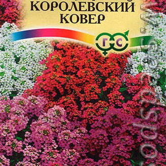 Лобулярия Королевский ковер, Смесь, 0,1 г Сад ароматов