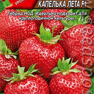 Земляника ремонтантная крупноплодная Капелька лета F1, 10 шт.