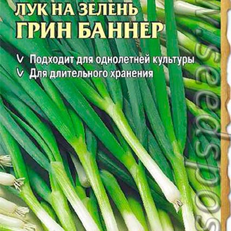 Лук на зелень Грин Баннер, 0,2 г Seminis (Голландские Семена)