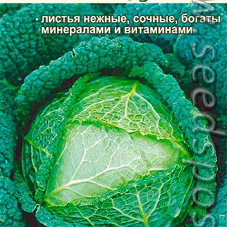 Капуста савойская Зеленое Кружево, 0,3 г 