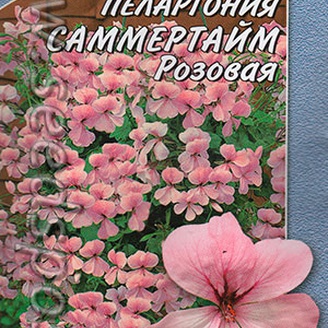 Пеларгония Саммертайм Розовая, 4 шт. Новые шедевры мировой селекции