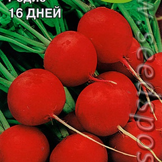 Редис 16 дней, ЦВ*2