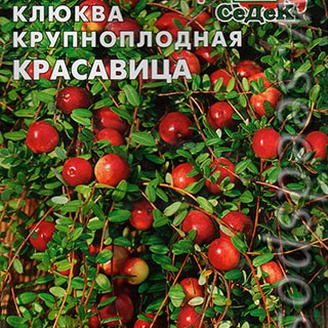 Клюква крупноплодная Красавица, 0,05 г