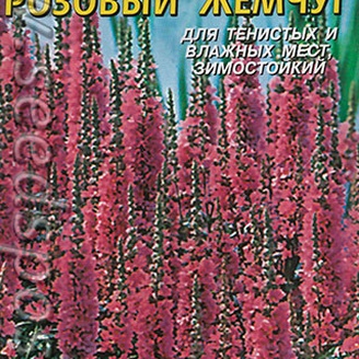 Дербенник Розовый жемчуг, 0,05 г