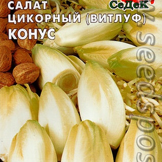 Салат цикорный Витлуф Конус, 0,5 г