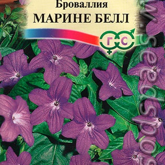 Броваллия Марине Белл, 3 шт. Элитная клумба