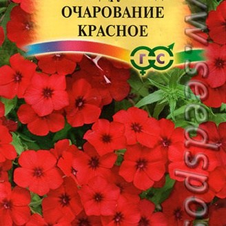 Флокс Друммонда Очарование Красное, 0,05 г 