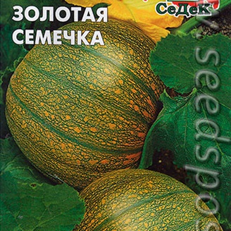 Тыква Золотая семечка, 2 г