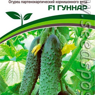 Огурец Гуннар F1, 5 шт.