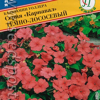 Бальзамин Уоллера Карнавал Темно-Лососевый, 8 шт.