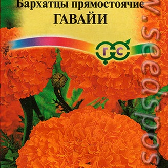 Бархатцы прямостоячие Гавайи, 0,3 г