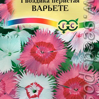 Гвоздика перистая Варьете, Смесь, 0,2 г