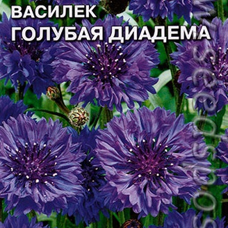 Василек Голубая диадема, 0,5 г