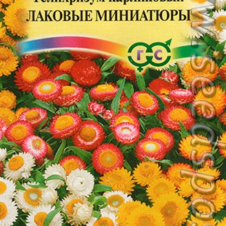 Гелихризум карликовый Лаковые миниатюры, Смесь, 0,1 г