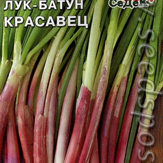 Лук батун Красавец, 0,3 г