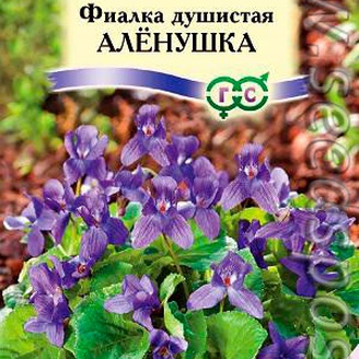 Фиалка душистая Аленушка, 0,01 г Сад ароматов