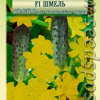 Огурец Шмель F1 (опылитель), 10 шт.