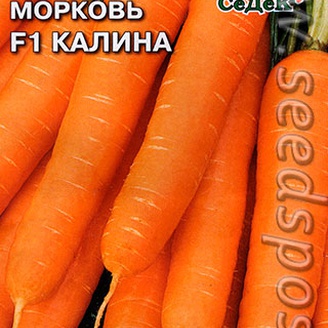 Морковь Калина F1, 1 г