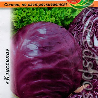 Капуста краснокочанная Гако, 0,5 г