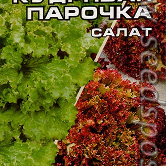 Салат Кудрявая парочка, Смесь, 1 г