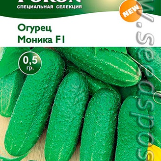 Огурец Моника F1, 0,5 г