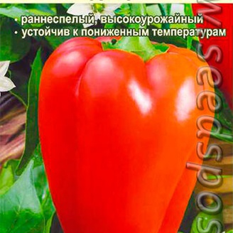 Перец сладкий Фельдмаршал ®, 0,1 г Сибирская Селекция!