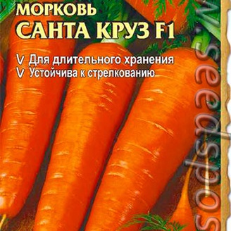 Морковь Санта Круз F1, 0,3 г Seminis (Голландские Семена)