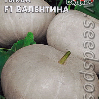 Тыква Валентина F1, 1 г