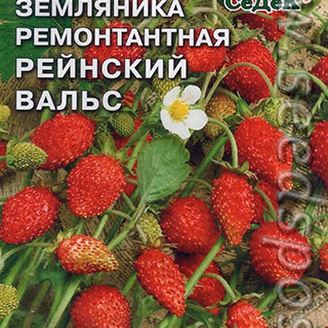 Земляника ремонтантная Рейнский вальс, 0,04 г