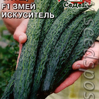 Огурец Змей искуситель F1, 0,3 г