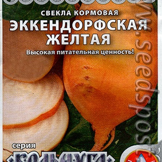 Свекла кормовая Эккендорфская Желтая, 4 г Кольчуга